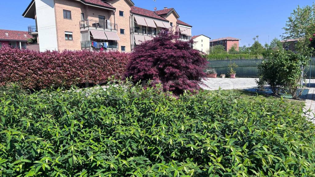 immagine annuncio 12 di 15