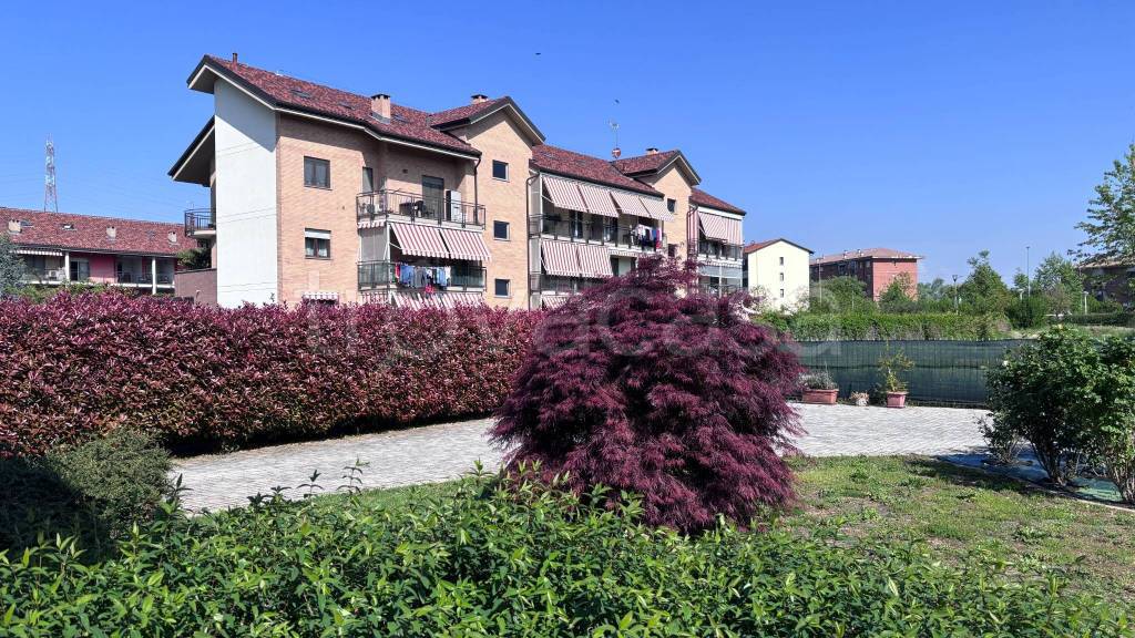 immagine annuncio 13 di 15