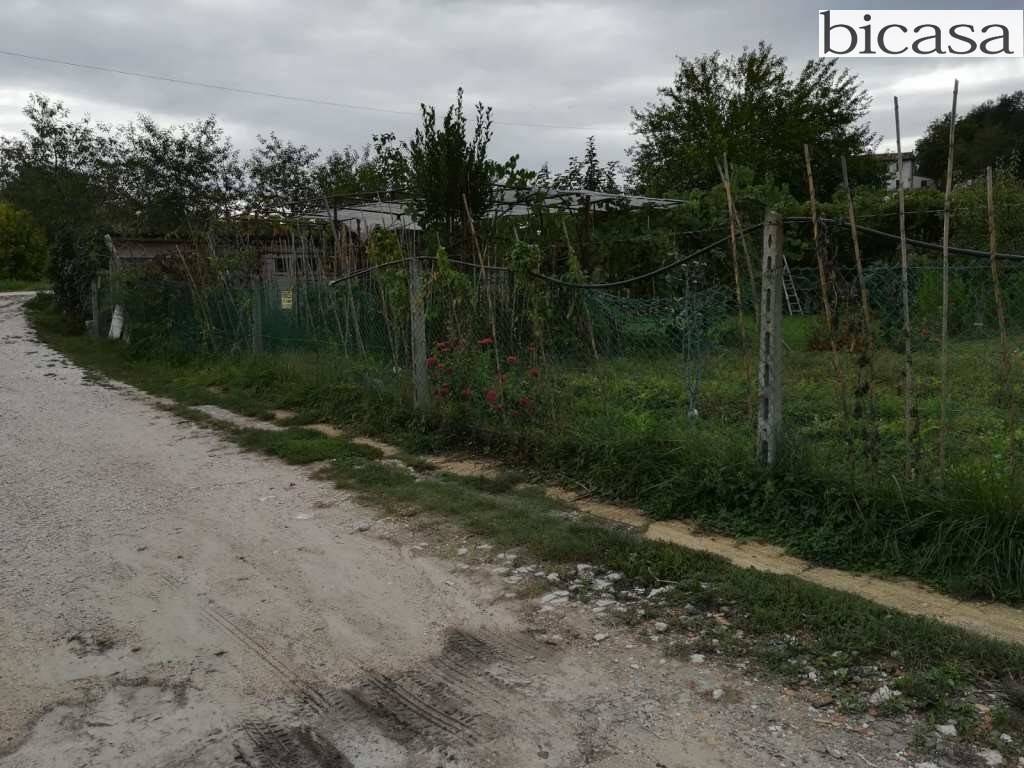 immagine annuncio 3 di 6