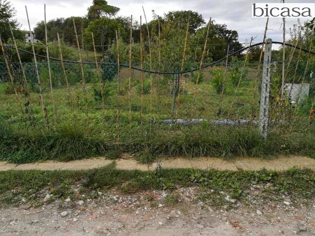 immagine annuncio 4 di 6