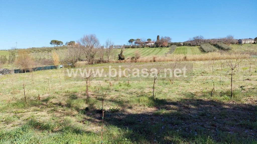 immagine annuncio 1 di 2