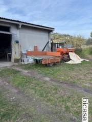 immagine annuncio 12 di 14