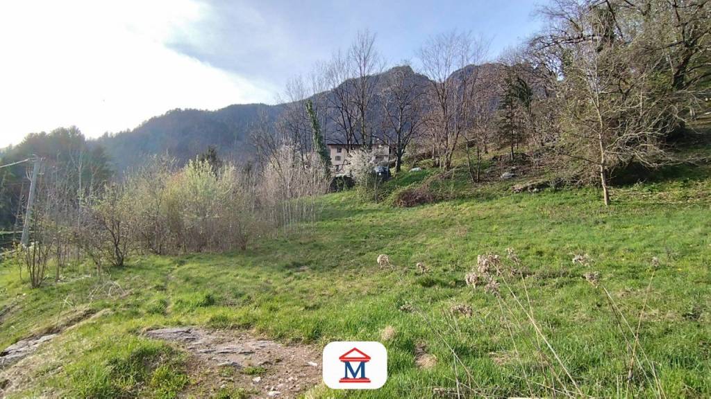 immagine annuncio 3 di 6