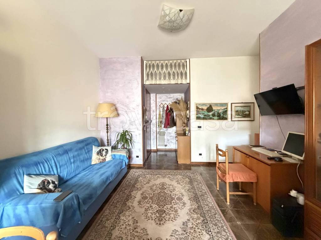 immagine annuncio 6 di 13