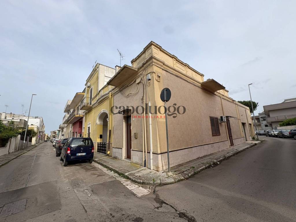 immagine annuncio 1 di 14