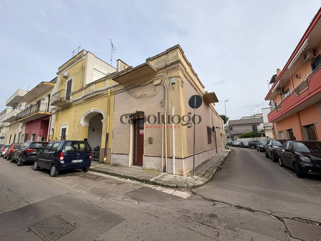 immagine annuncio 3 di 14