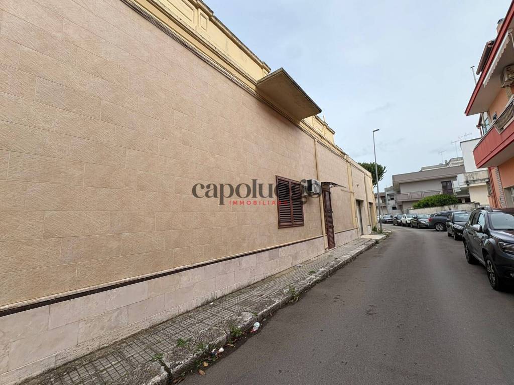 immagine annuncio 4 di 14