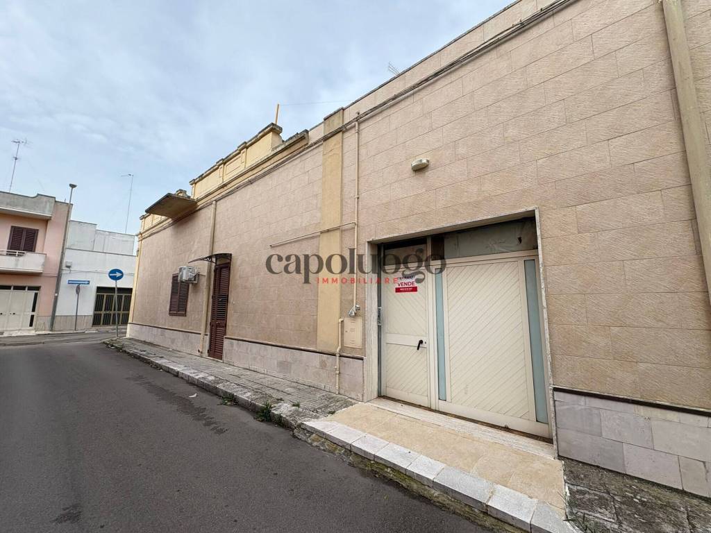 immagine annuncio 5 di 14