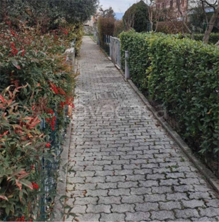 immagine annuncio 11 di 13