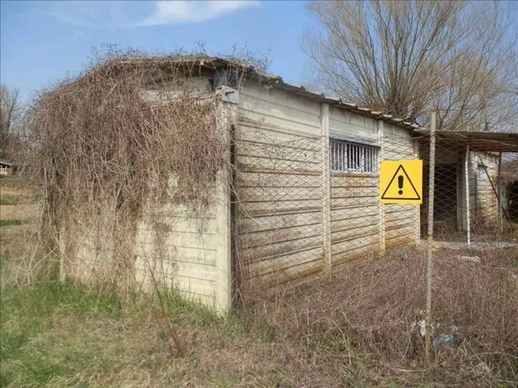 immagine annuncio 11 di 15