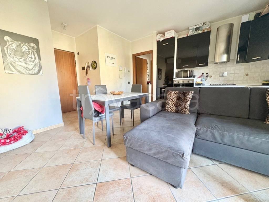 immagine annuncio 2 di 13