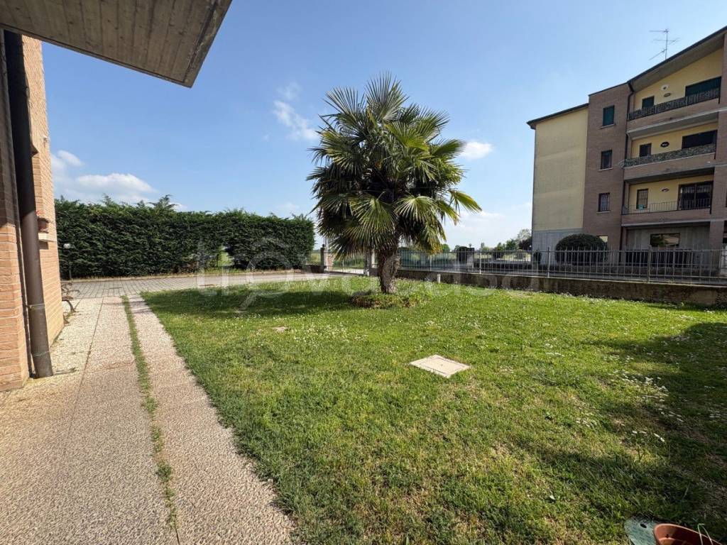 immagine annuncio 11 di 13