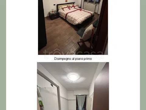 immagine annuncio 5 di 8