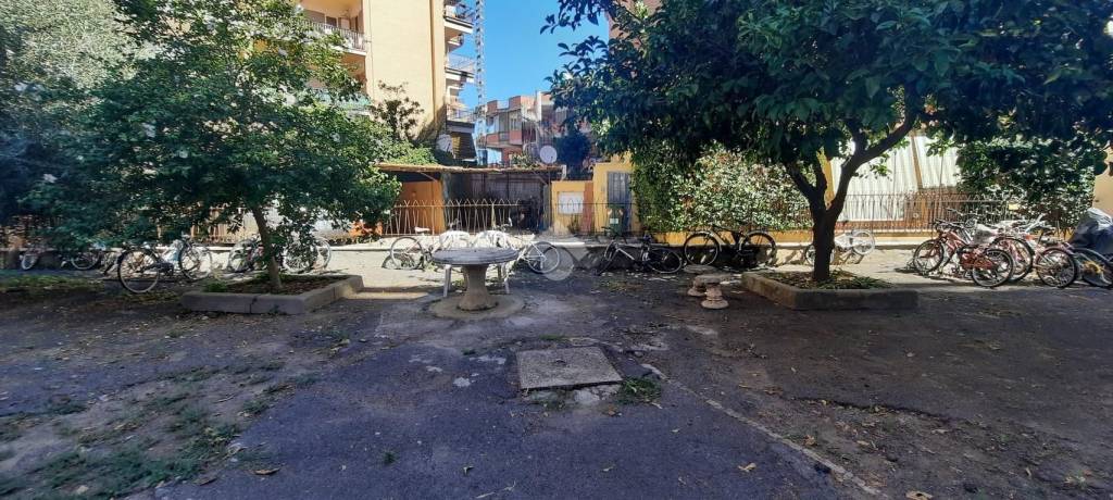 immagine annuncio 11 di 14