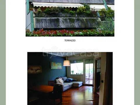 immagine annuncio 4 di 6