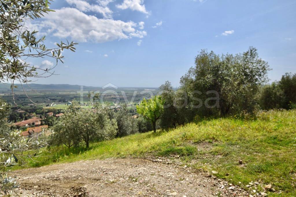 immagine annuncio 2 di 9