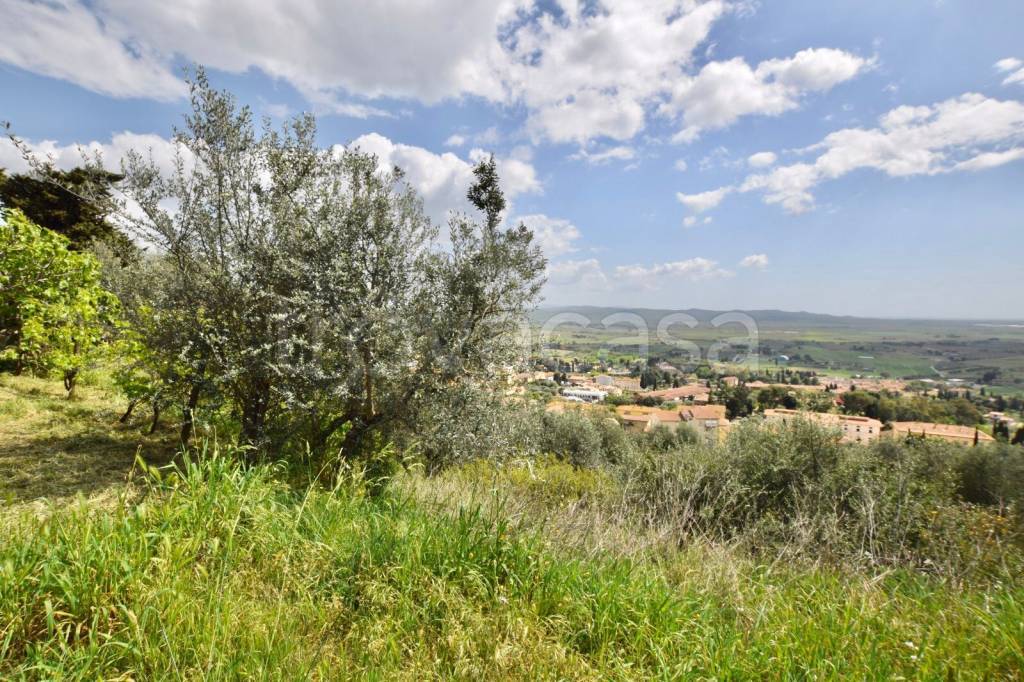 immagine annuncio 5 di 9