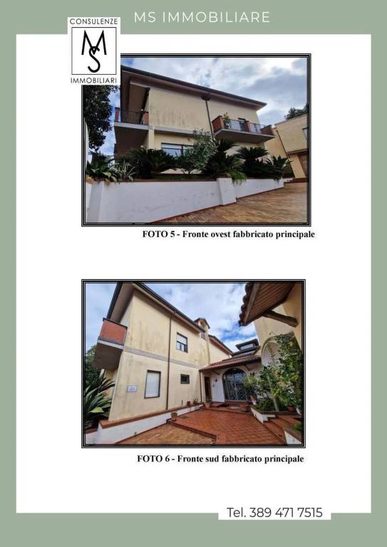 immagine annuncio 2 di 6