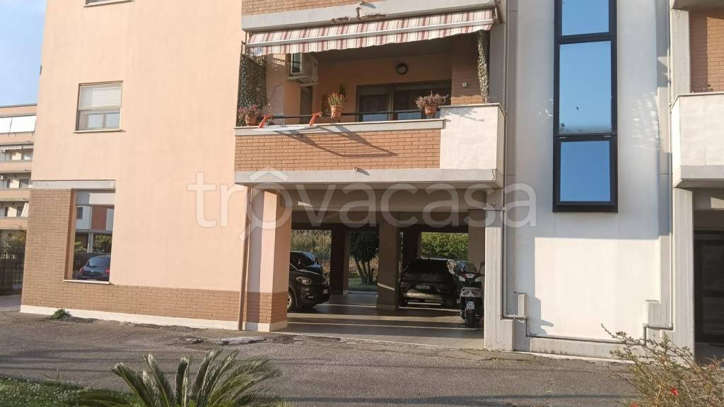 immagine annuncio 3 di 6