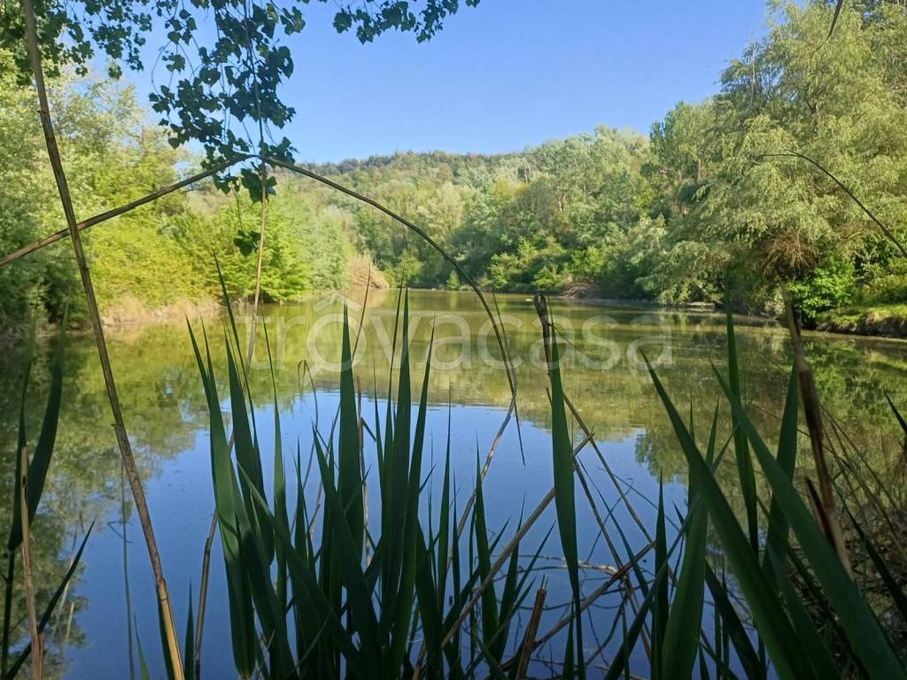 immagine annuncio 12 di 14