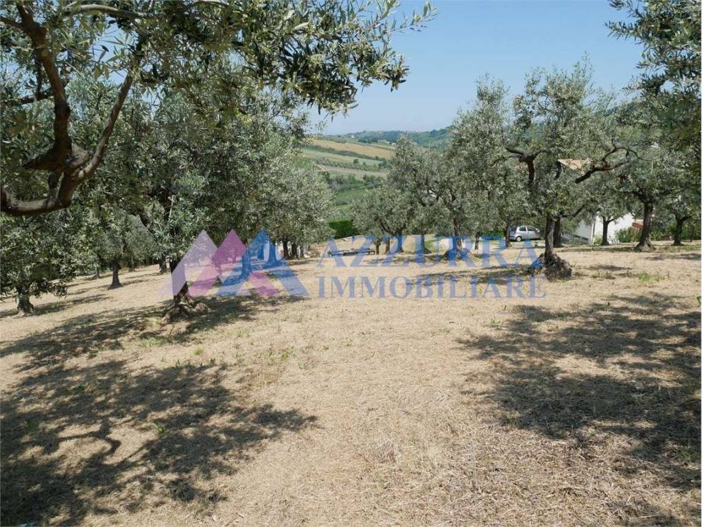 immagine annuncio 6 di 8