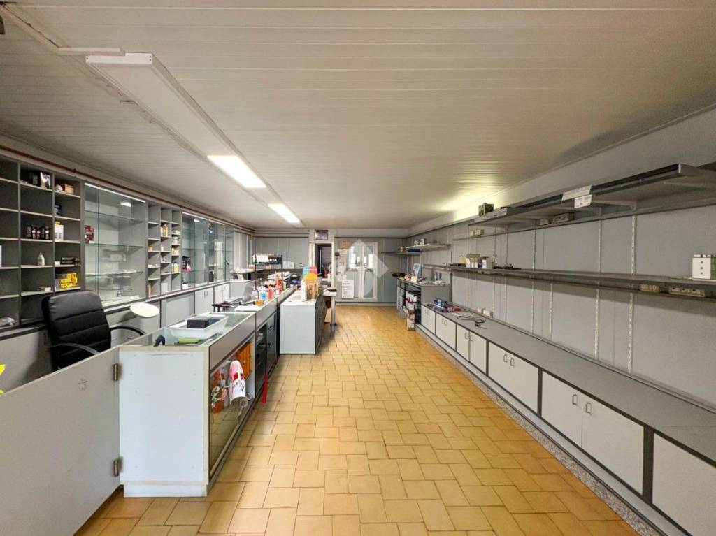 immagine annuncio 5 di 15