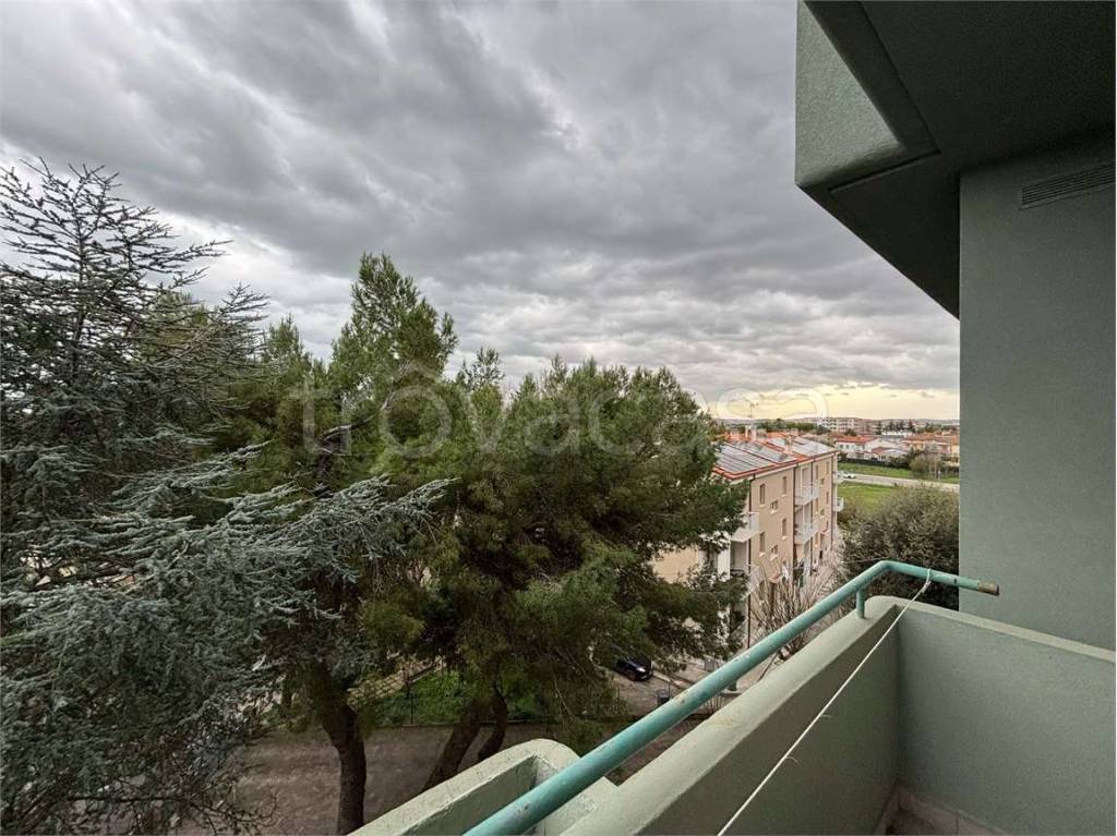 immagine annuncio 12 di 14