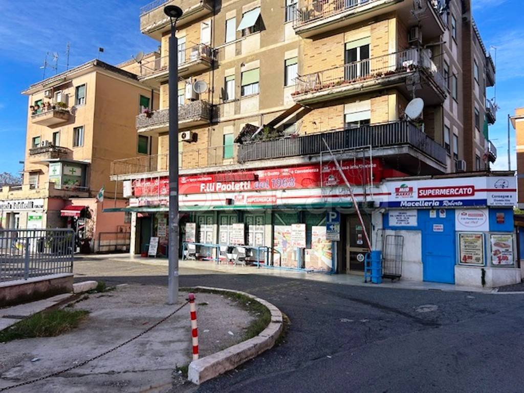 immagine annuncio 1 di 14