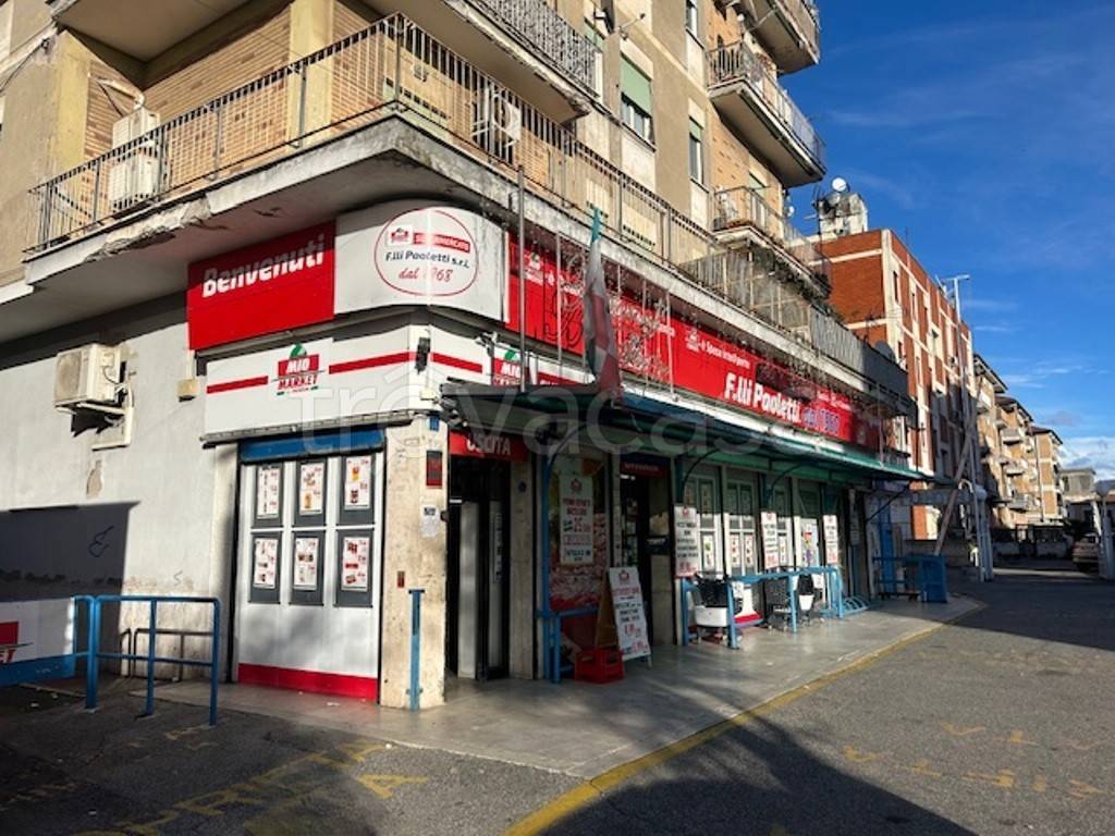 immagine annuncio 5 di 14