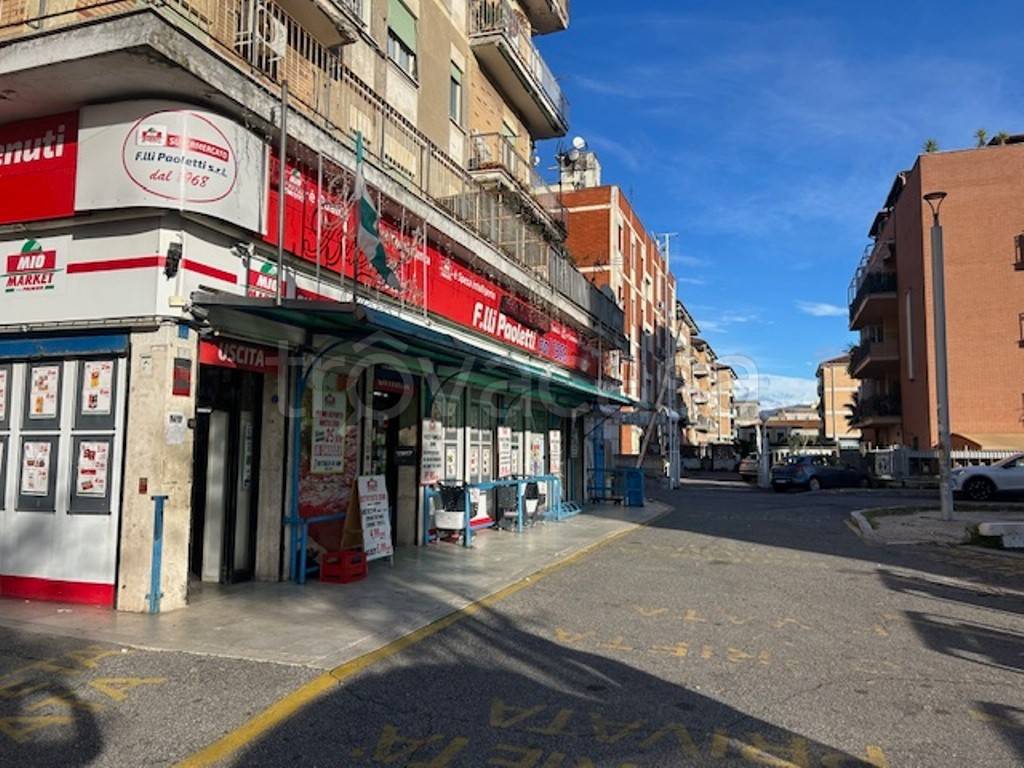immagine annuncio 6 di 14