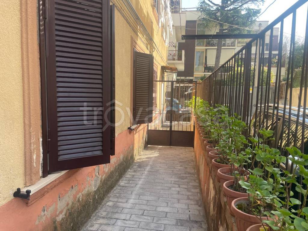 immagine annuncio 4 di 12