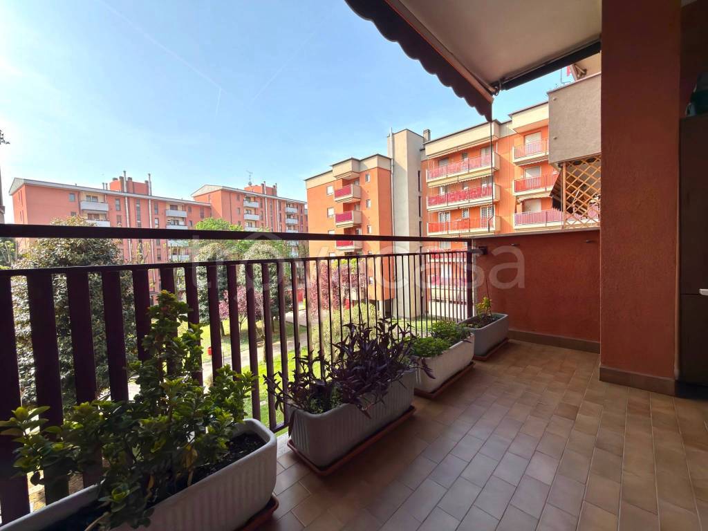 immagine annuncio 2 di 11