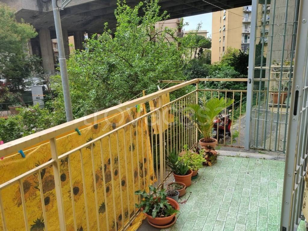 immagine annuncio 8 di 14