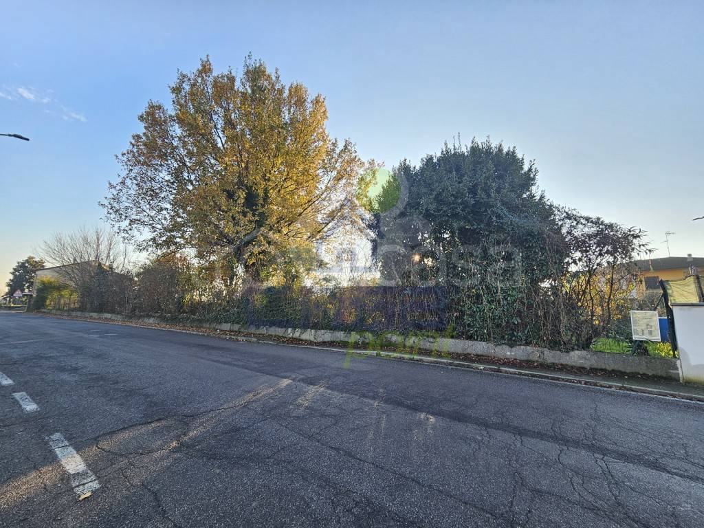 immagine annuncio 5 di 11