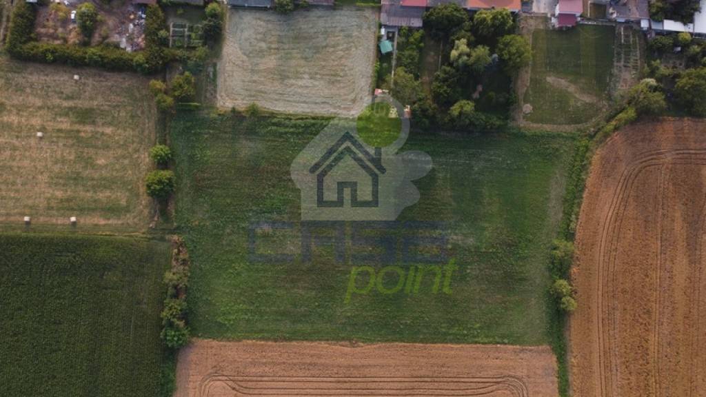 immagine annuncio 4 di 6