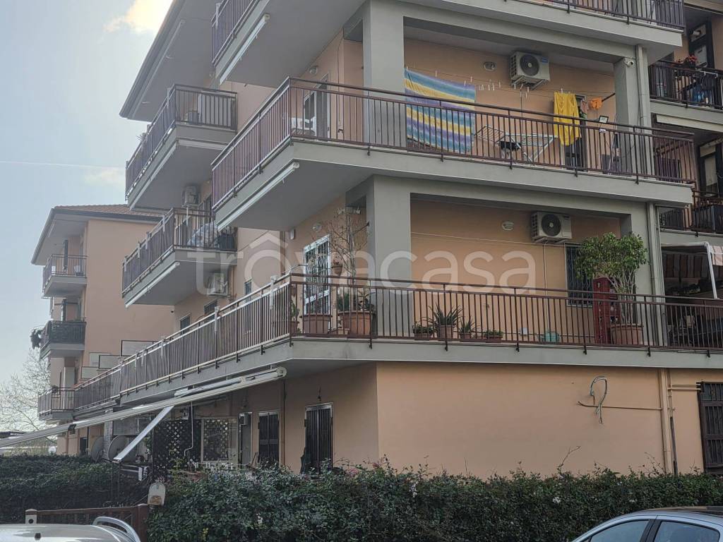 immagine annuncio 6 di 9