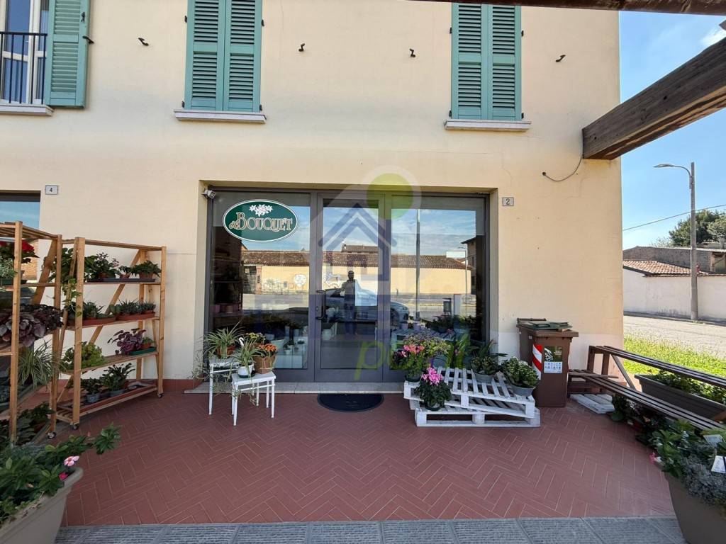 immagine annuncio 1 di 2