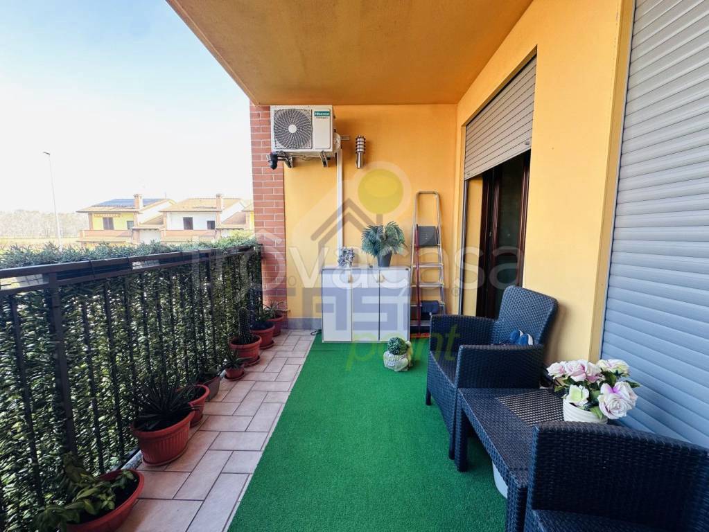 immagine annuncio 6 di 14