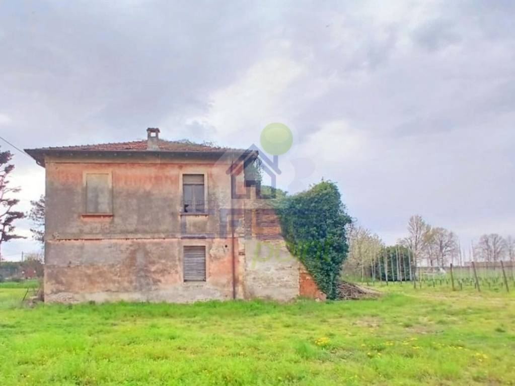 immagine annuncio 6 di 12