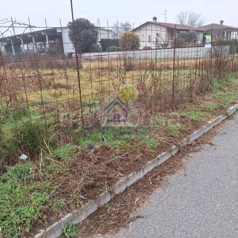 immagine annuncio 1 di 7