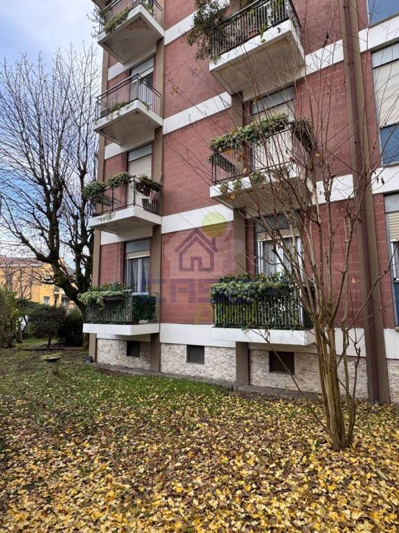 immagine annuncio 1 di 13