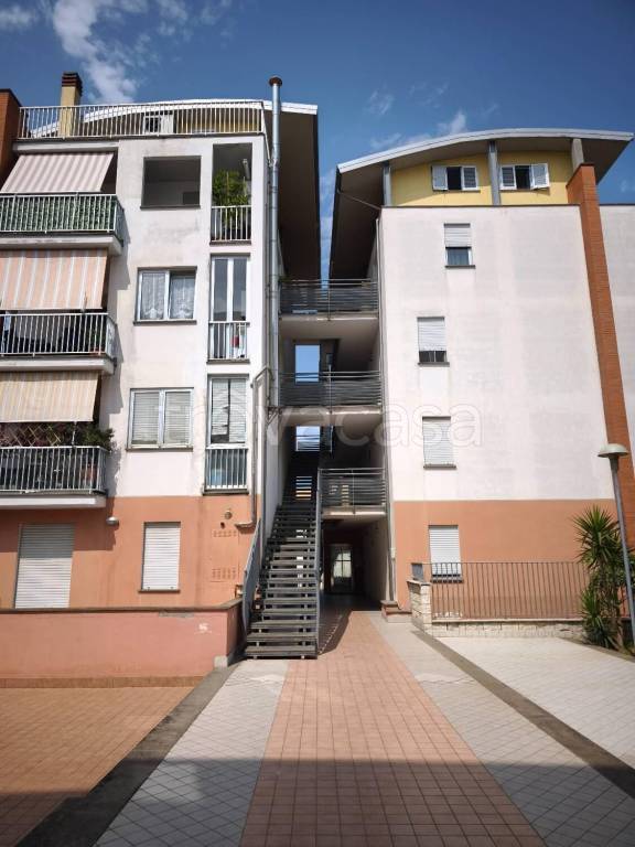 immagine annuncio 6 di 15