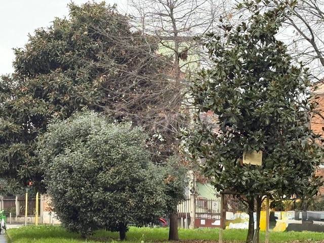 immagine annuncio 11 di 15