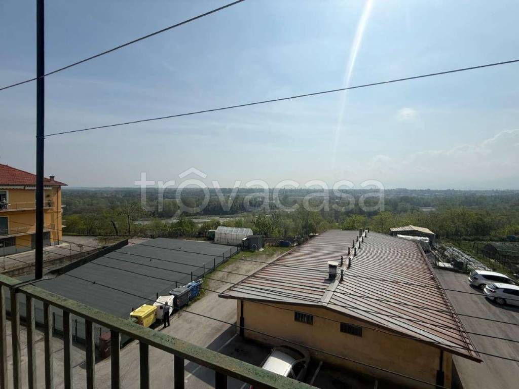 immagine annuncio 6 di 13