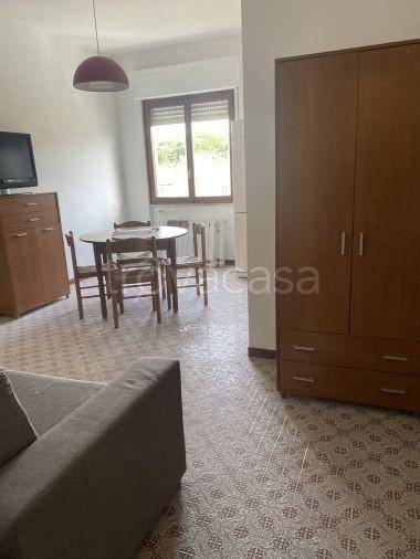 immagine annuncio 11 di 14