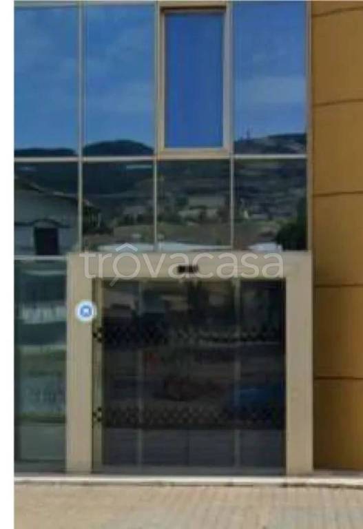 immagine annuncio 10 di 14