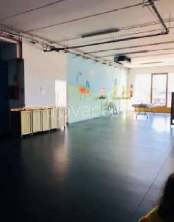 immagine annuncio 5 di 14