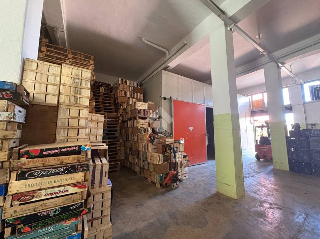 immagine annuncio 1 di 4