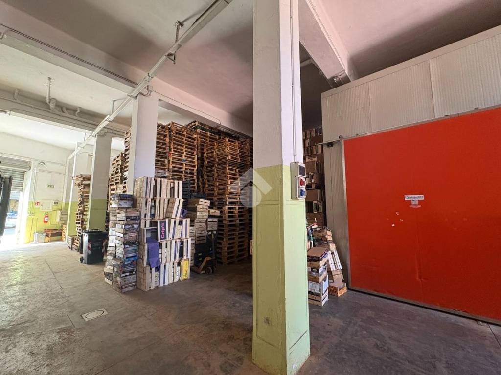 immagine annuncio 2 di 4