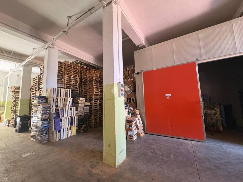 immagine annuncio 3 di 4